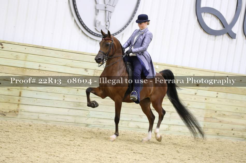 Proof 22R13_08604