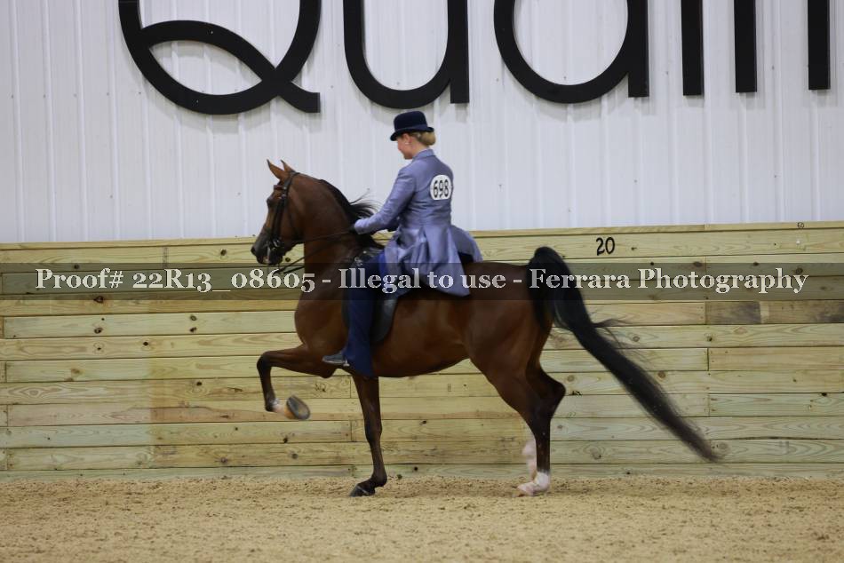 Proof 22R13_08605
