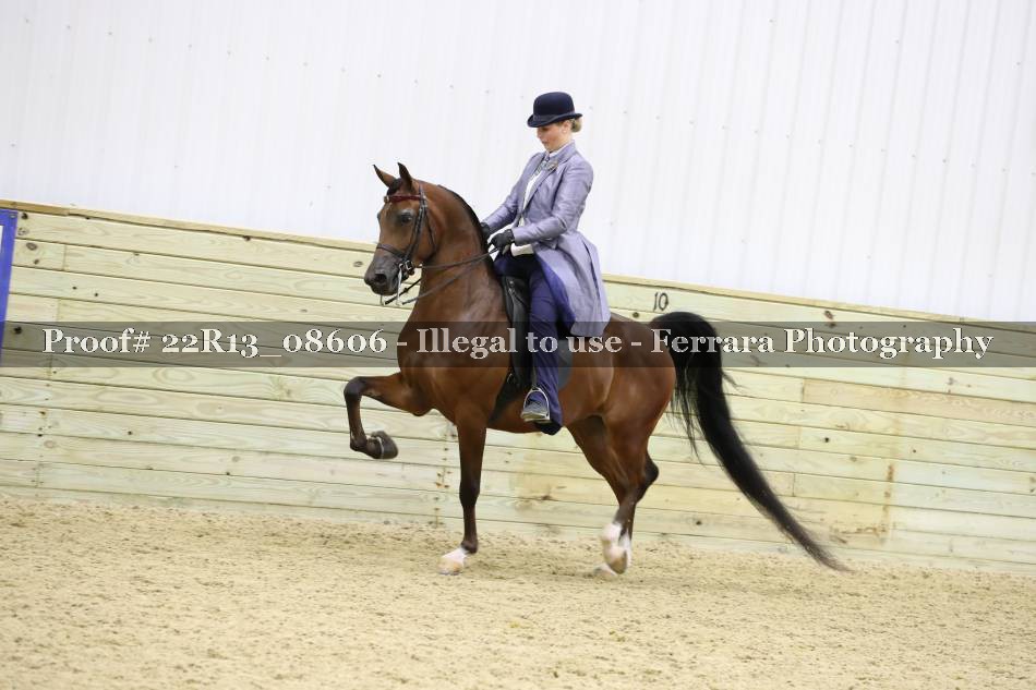 Proof 22R13_08606
