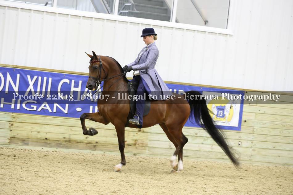 Proof 22R13_08607