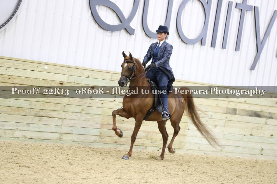 Proof 22R13_08608
