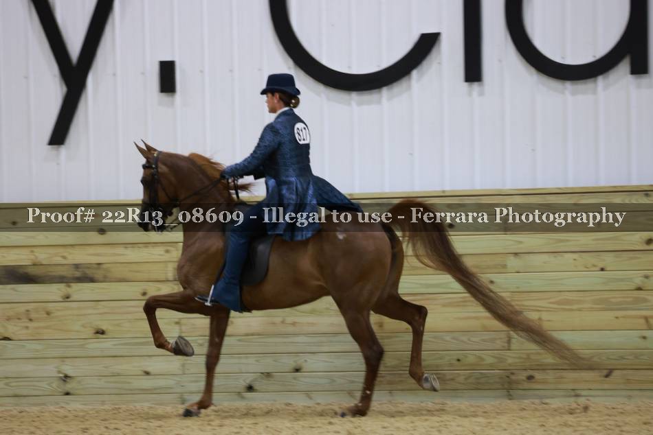 Proof 22R13_08609