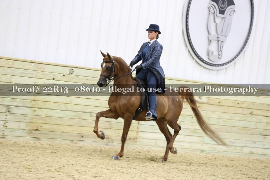 Proof 22R13_08610