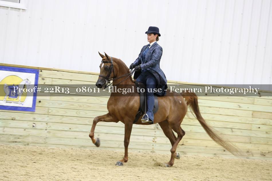 Proof 22R13_08611