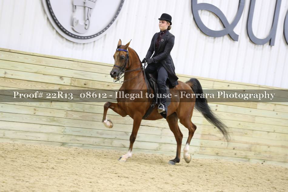 Proof 22R13_08612