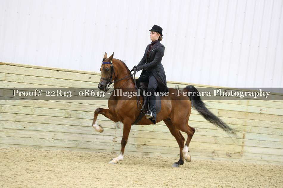 Proof 22R13_08613