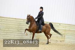 22R13_08613 proof