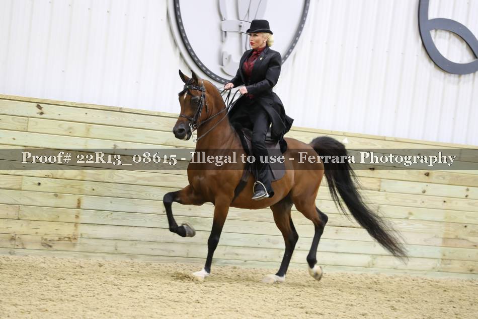 Proof 22R13_08615
