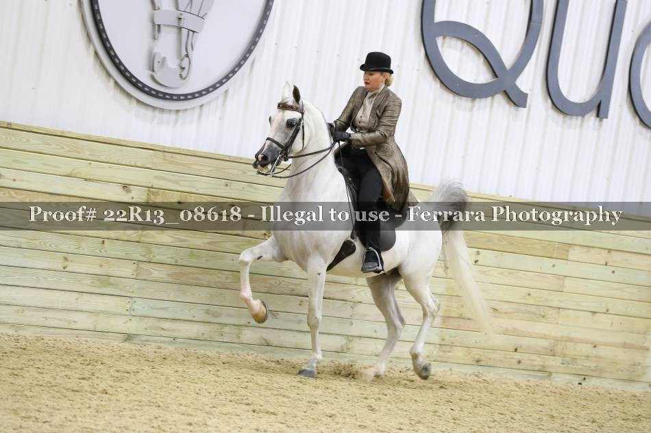 Proof 22R13_08618