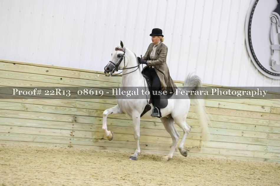 Proof 22R13_08619