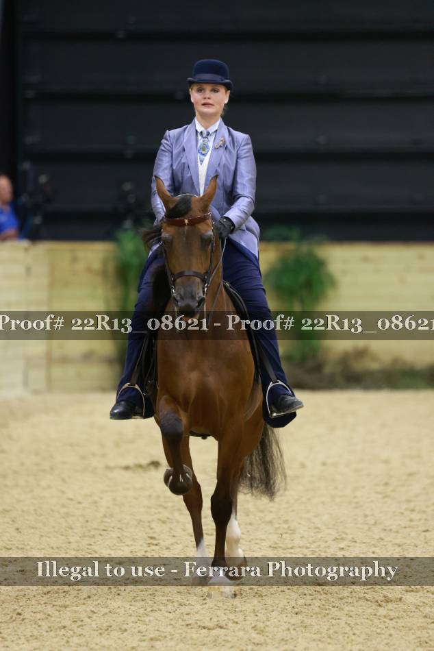 Proof 22R13_08621