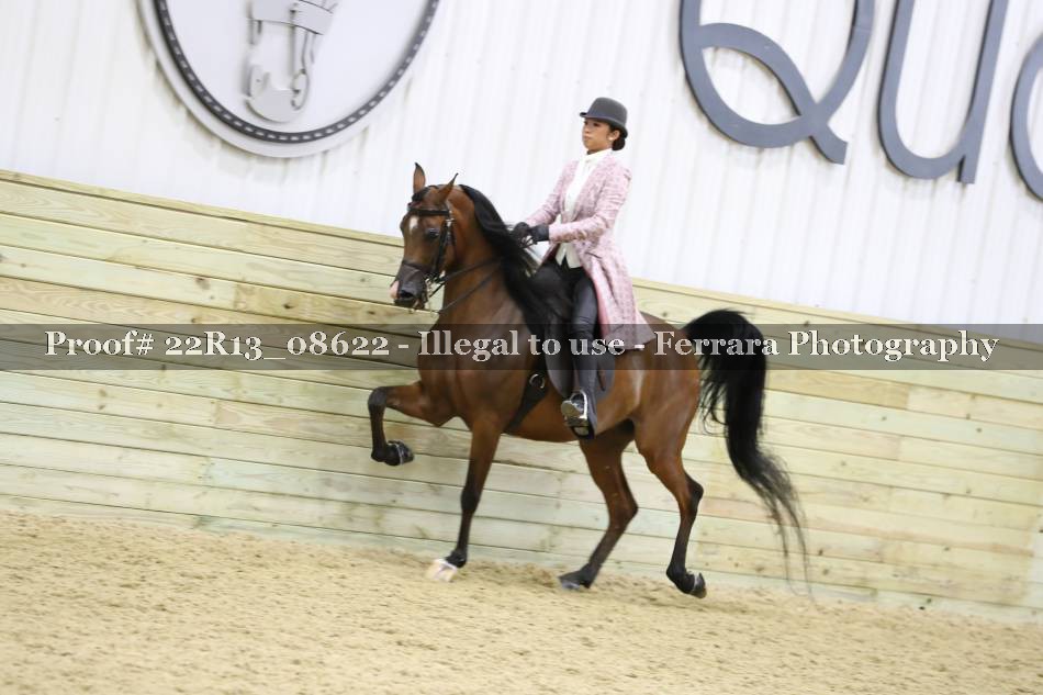 Proof 22R13_08622