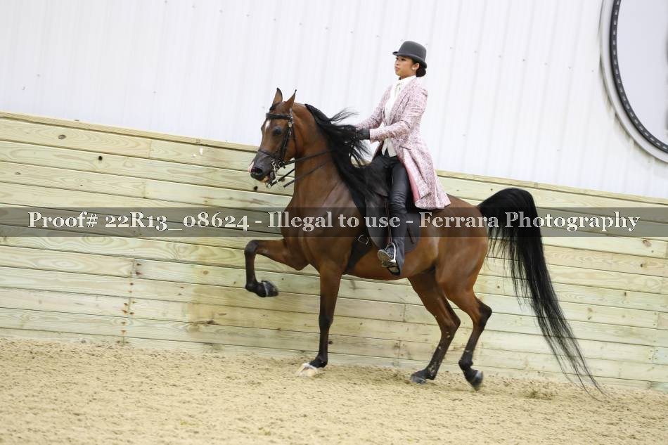 Proof 22R13_08624