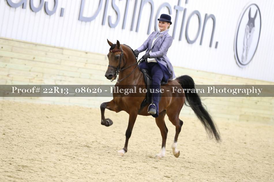 Proof 22R13_08626