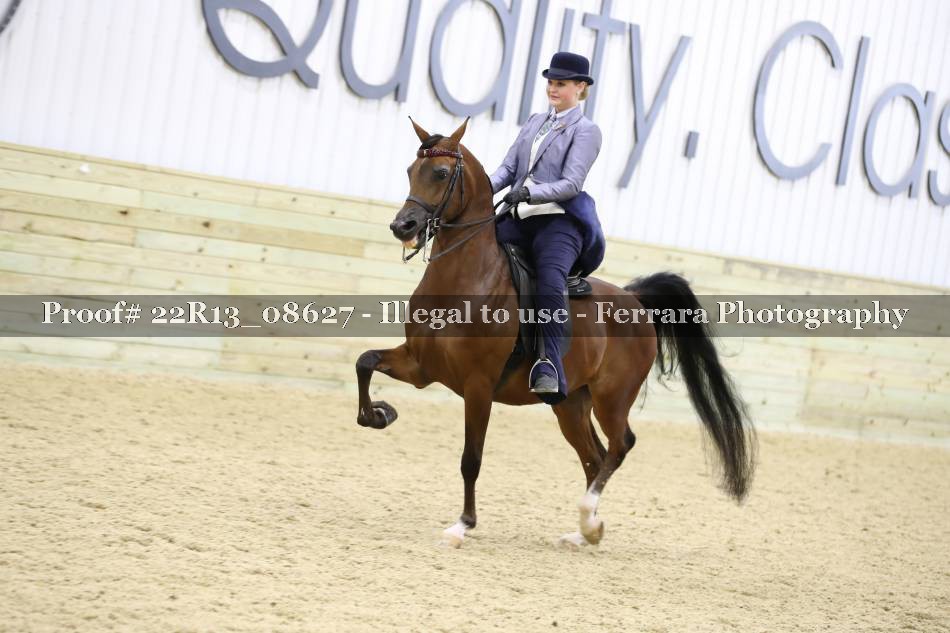 Proof 22R13_08627