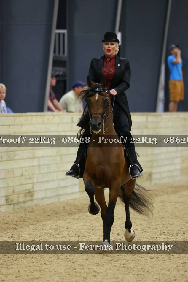 Proof 22R13_08628