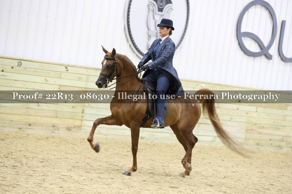 Proof 22R13_08630