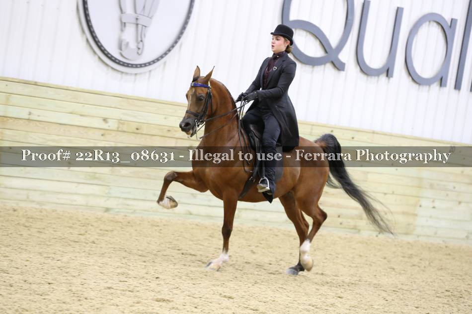 Proof 22R13_08631