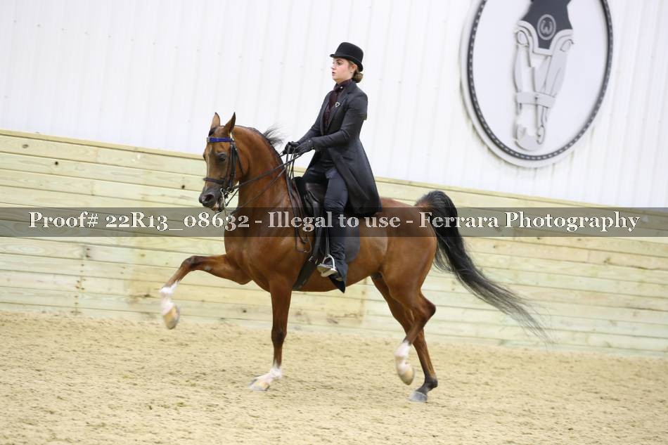 Proof 22R13_08632