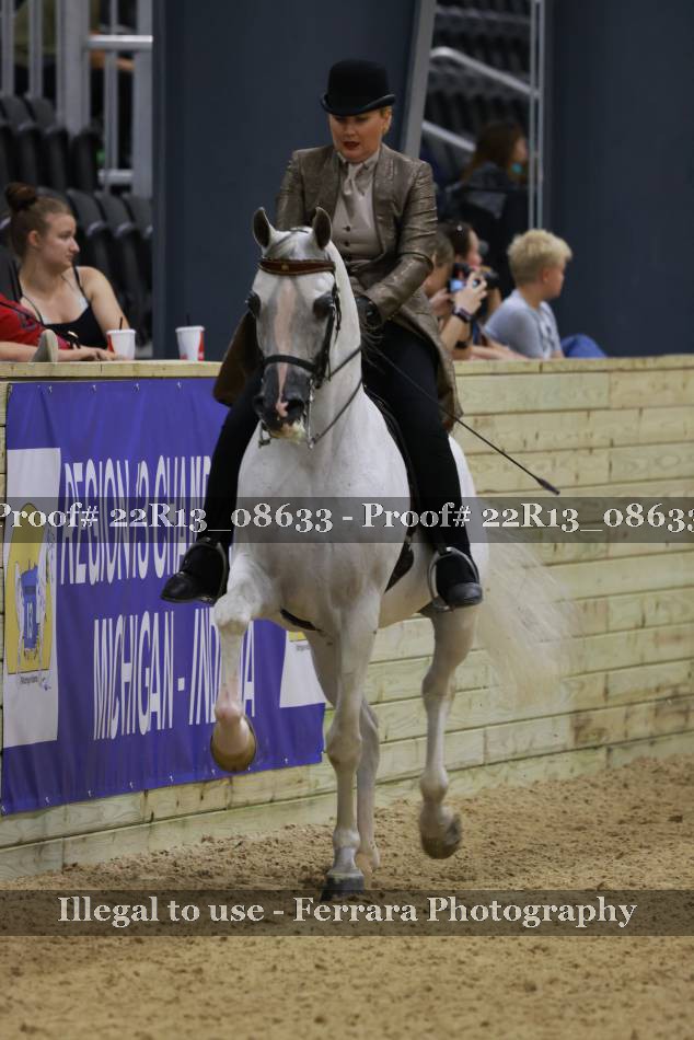 Proof 22R13_08633