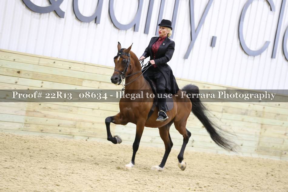 Proof 22R13_08634
