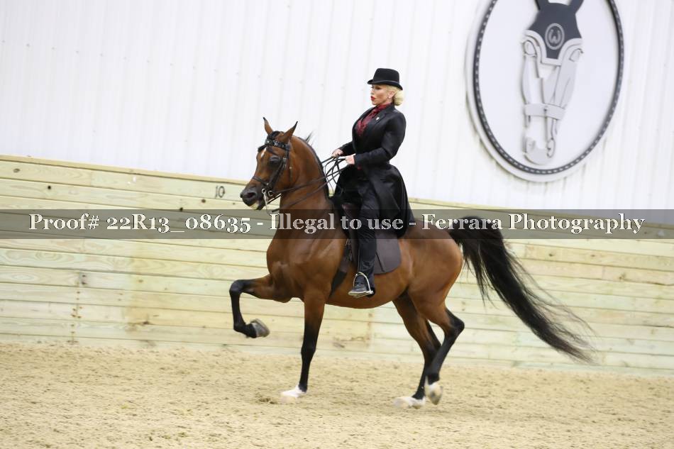 Proof 22R13_08635