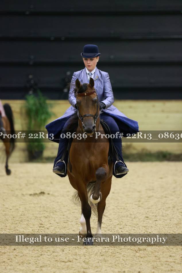 Proof 22R13_08636