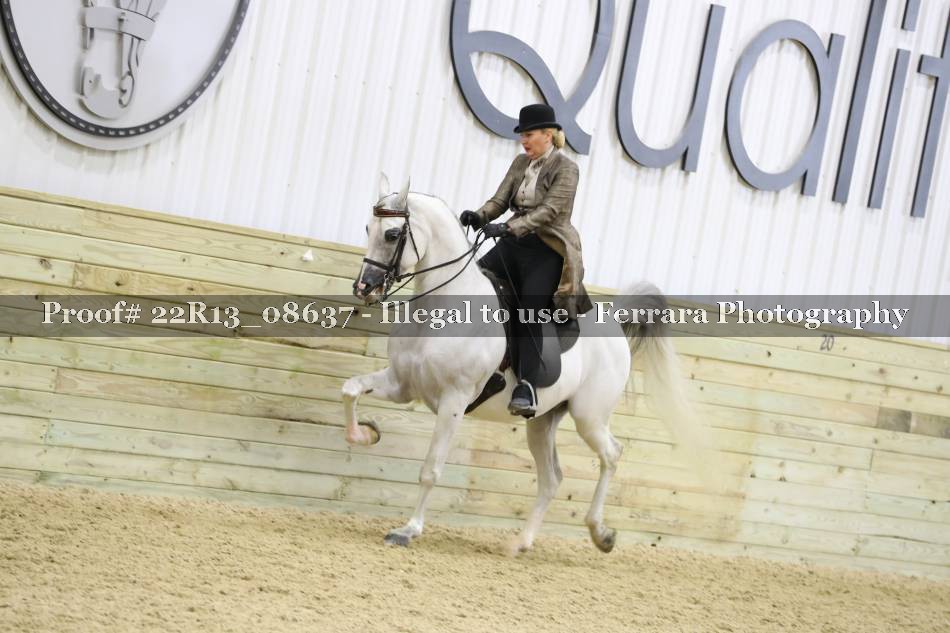 Proof 22R13_08637