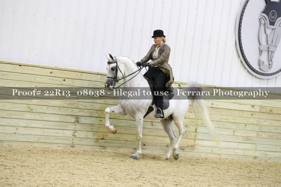 Proof 22R13_08638