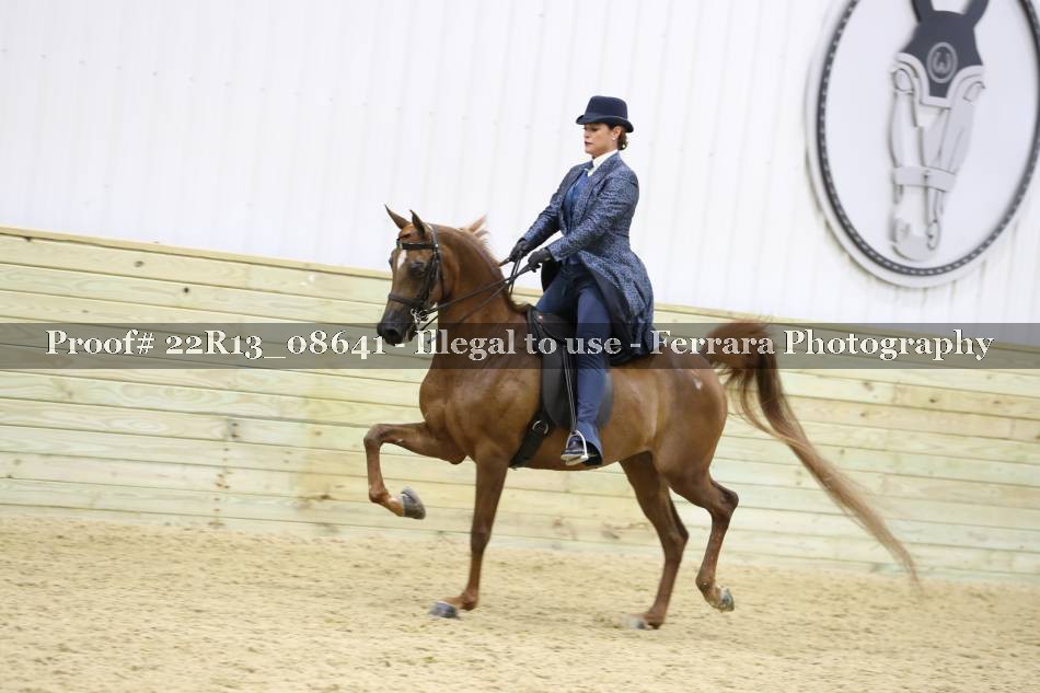 Proof 22R13_08641