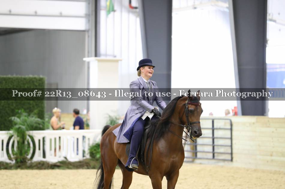 Proof 22R13_08643