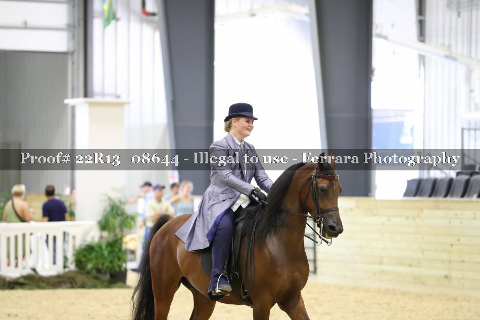 Proof 22R13_08644