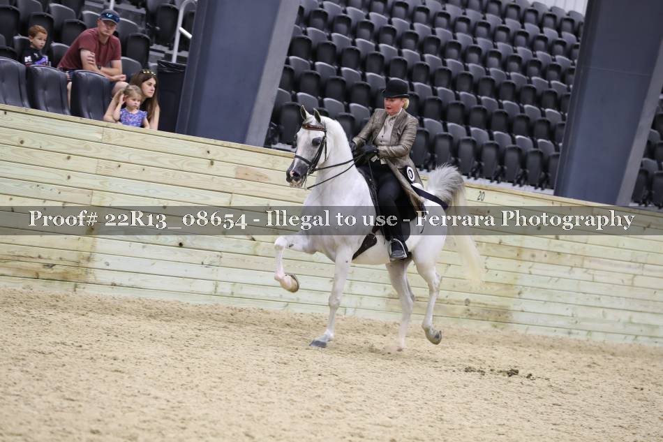 Proof 22R13_08654