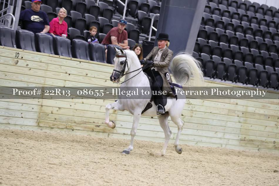 Proof 22R13_08655