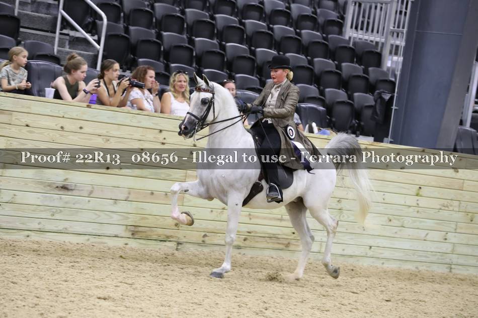 Proof 22R13_08656