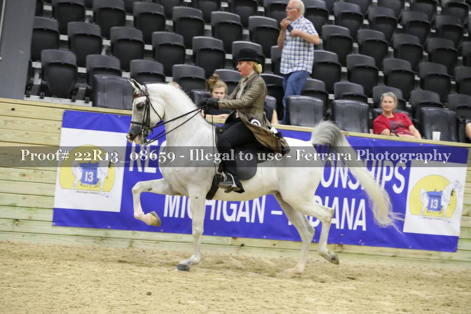Proof 22R13_08659
