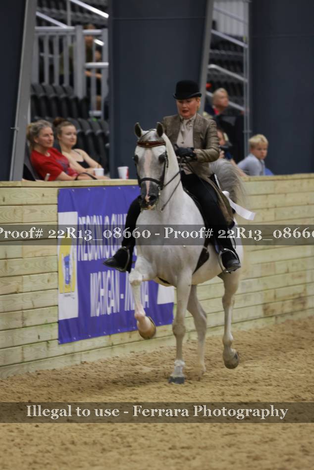 Proof 22R13_08660