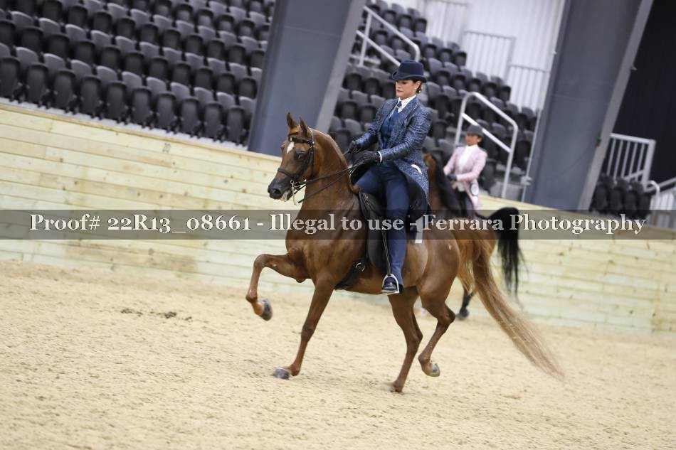 Proof 22R13_08661