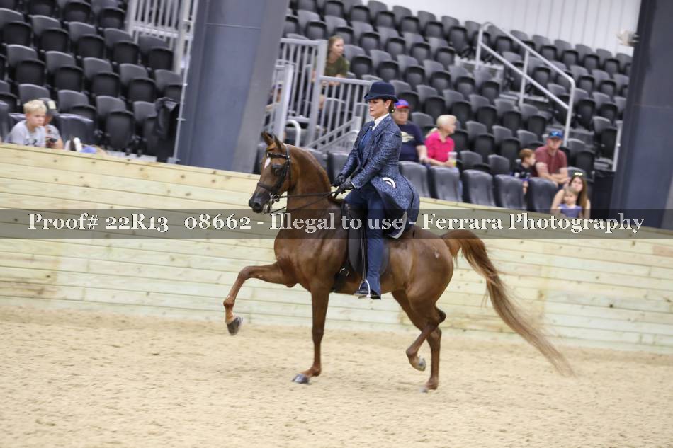 Proof 22R13_08662