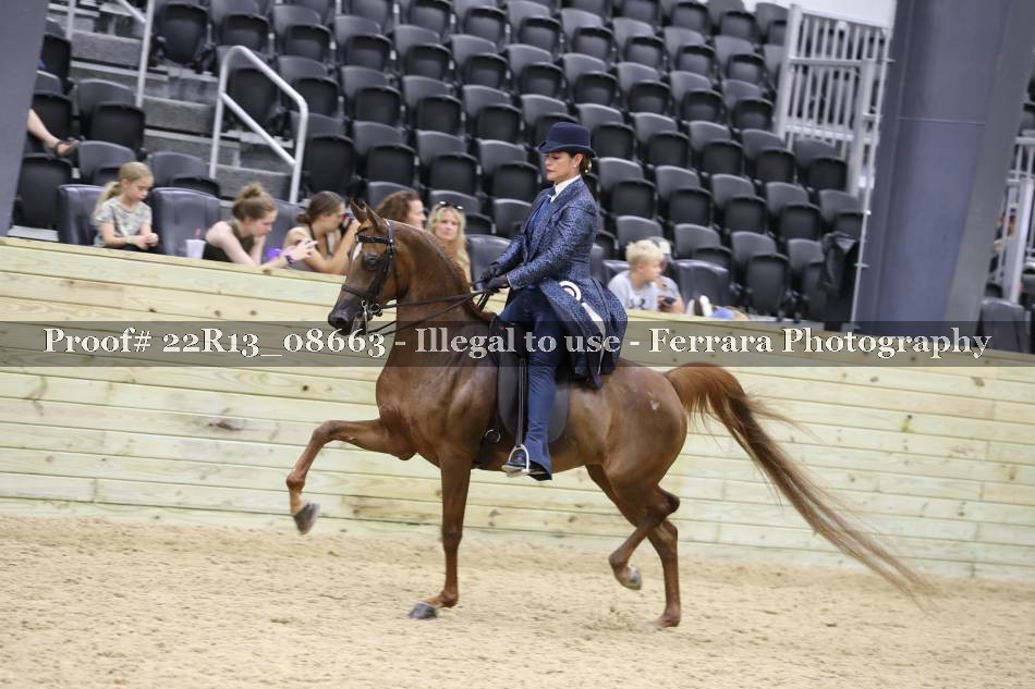 Proof 22R13_08663