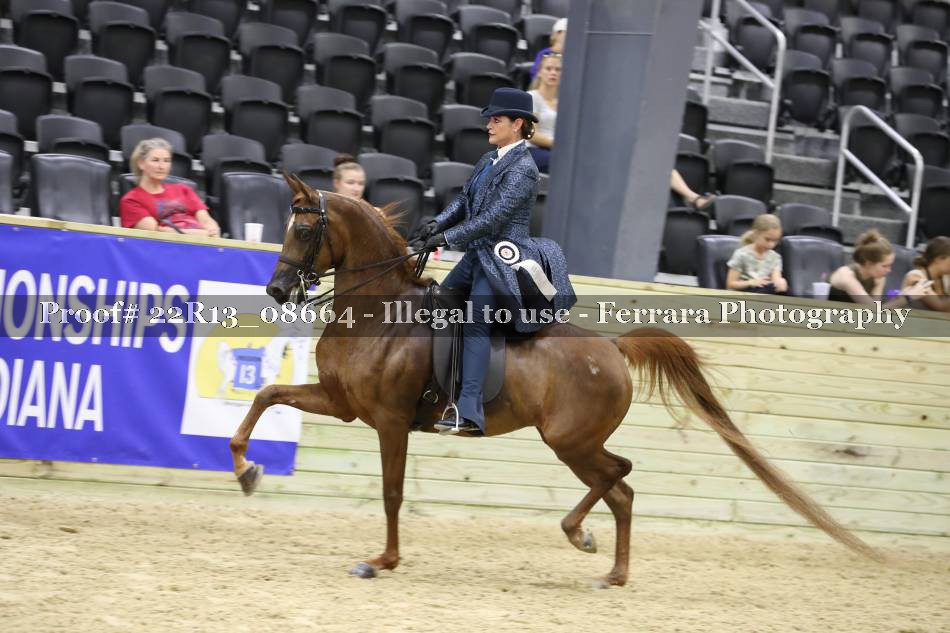 Proof 22R13_08664