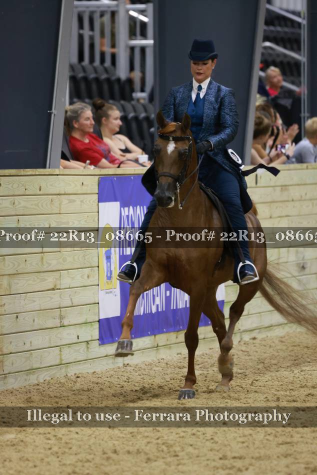 Proof 22R13_08665