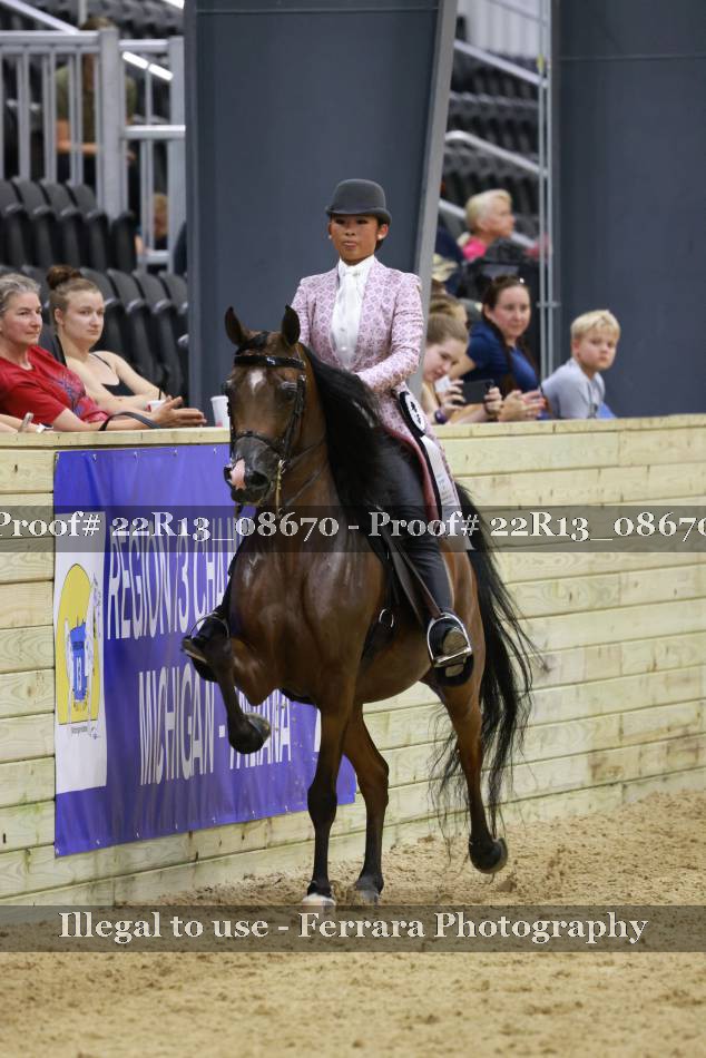Proof 22R13_08670