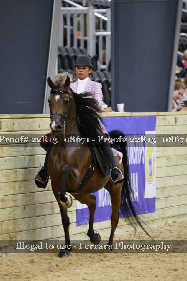 Proof 22R13_08671