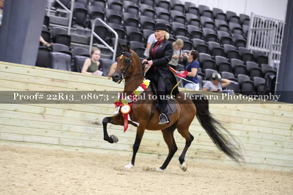 Proof 22R13_08673