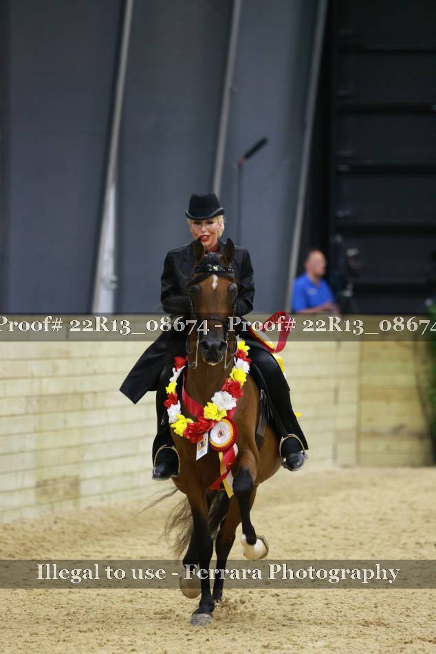 Proof 22R13_08674