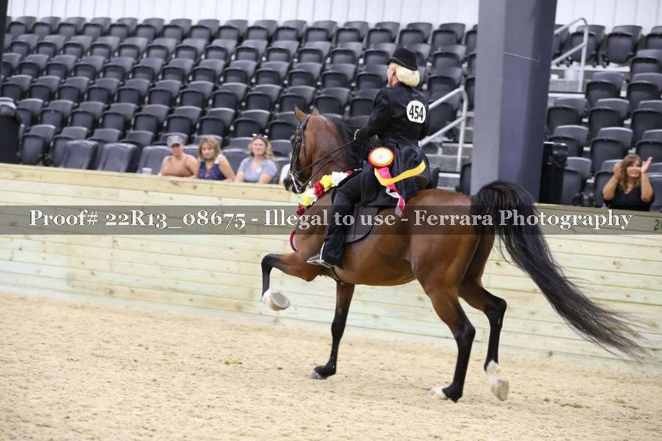 Proof 22R13_08675