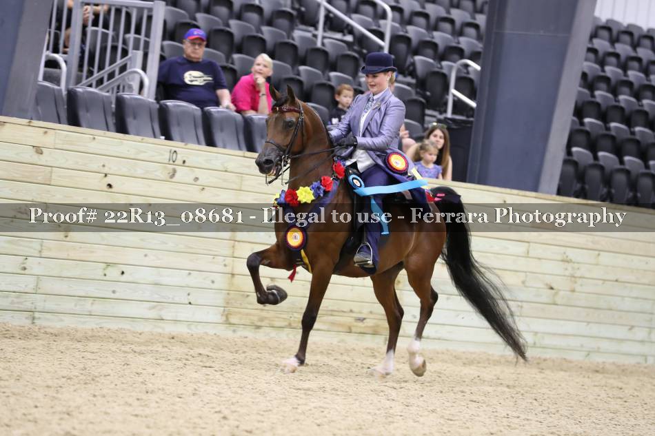 Proof 22R13_08681