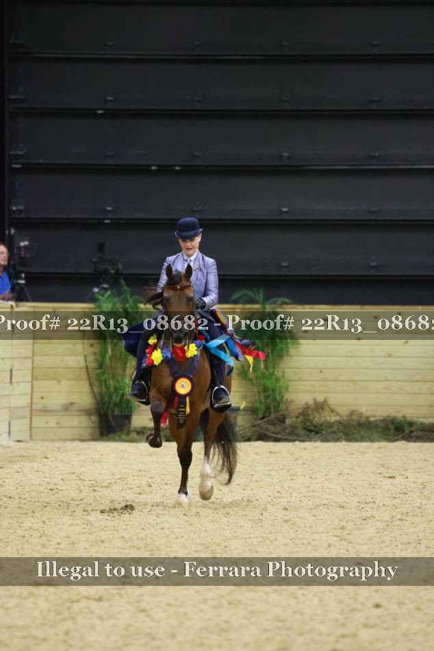 Proof 22R13_08682