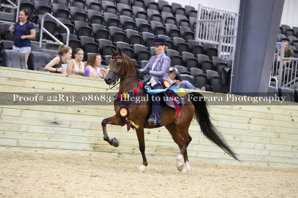 Proof 22R13_08683